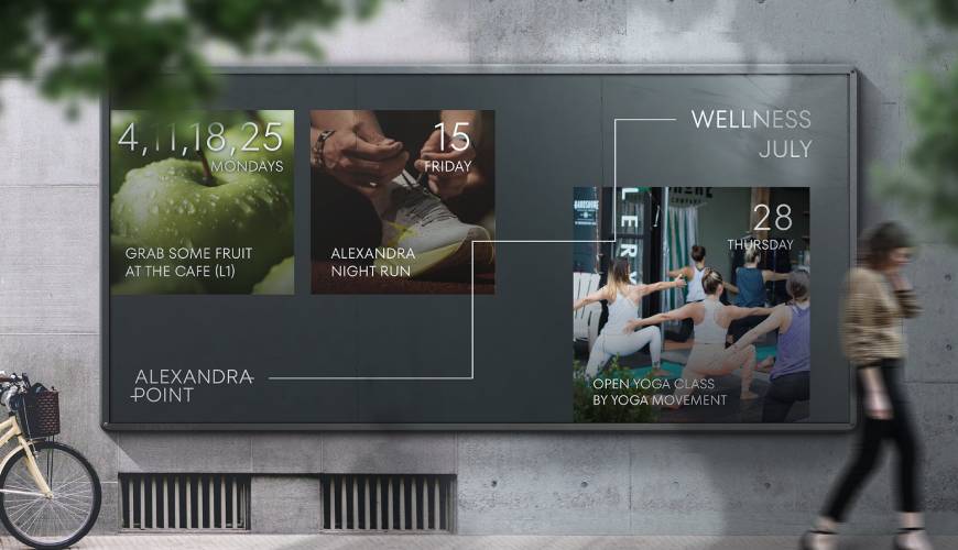 画册设计公司